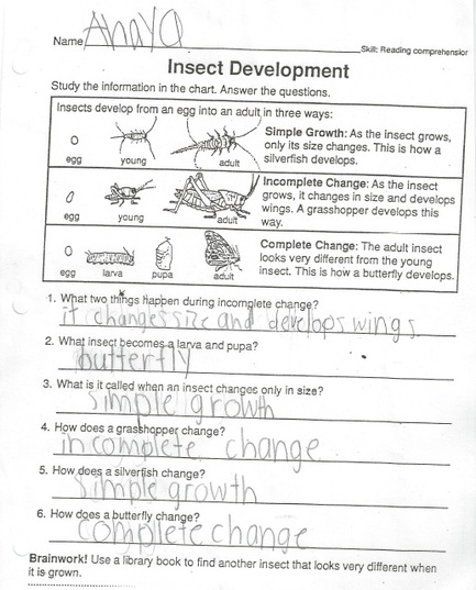 Insects - Anaya's Science Website